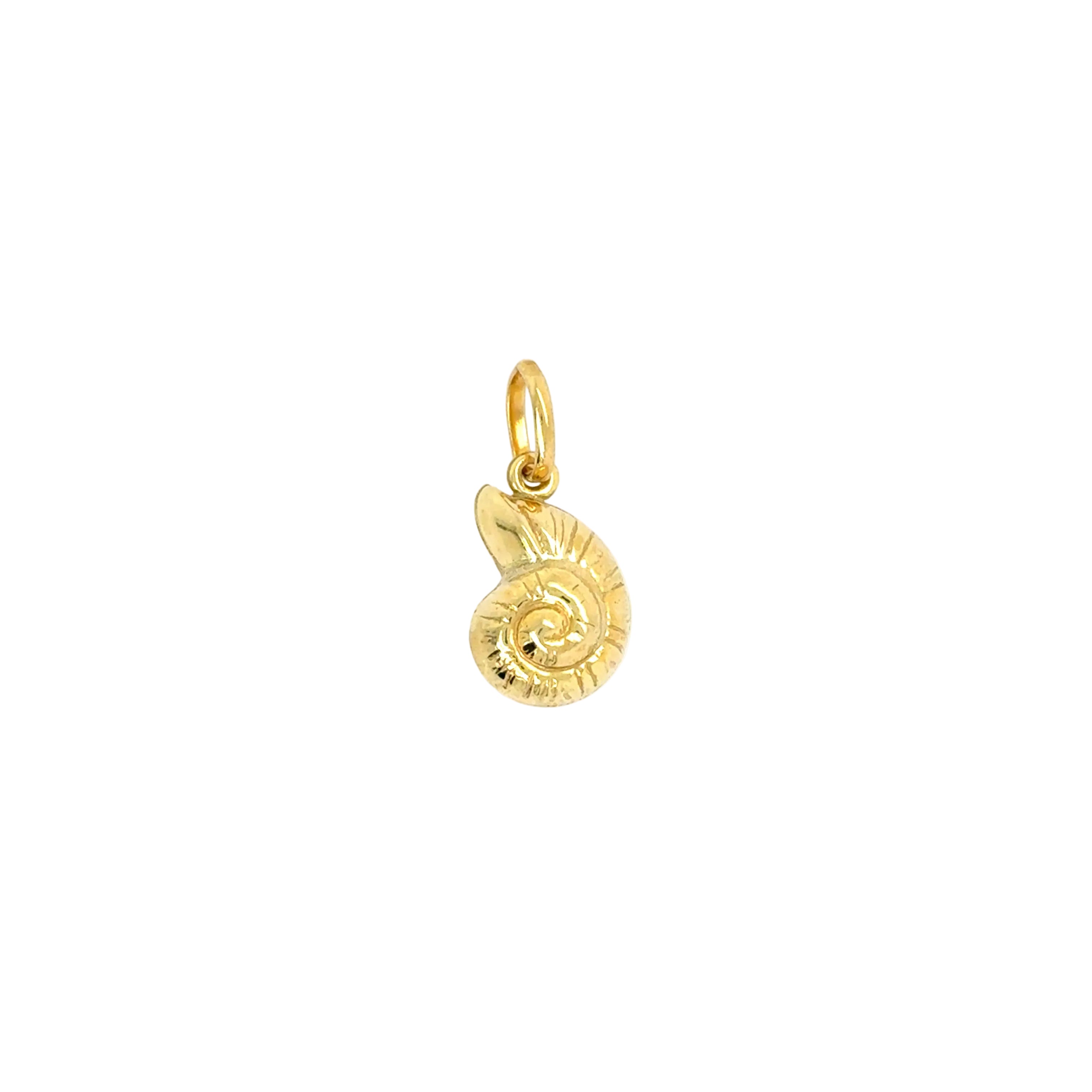 Snail Shell