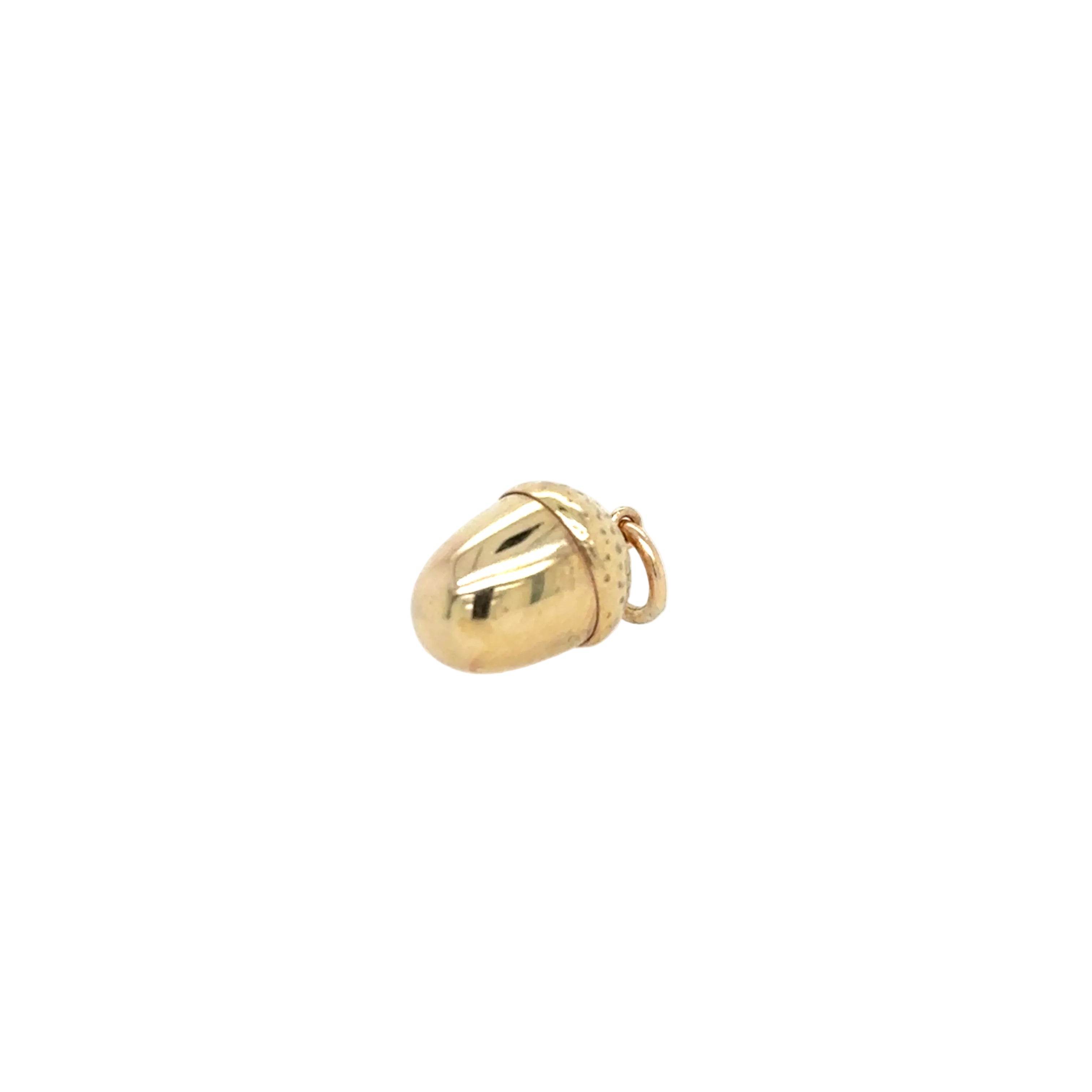Acorn