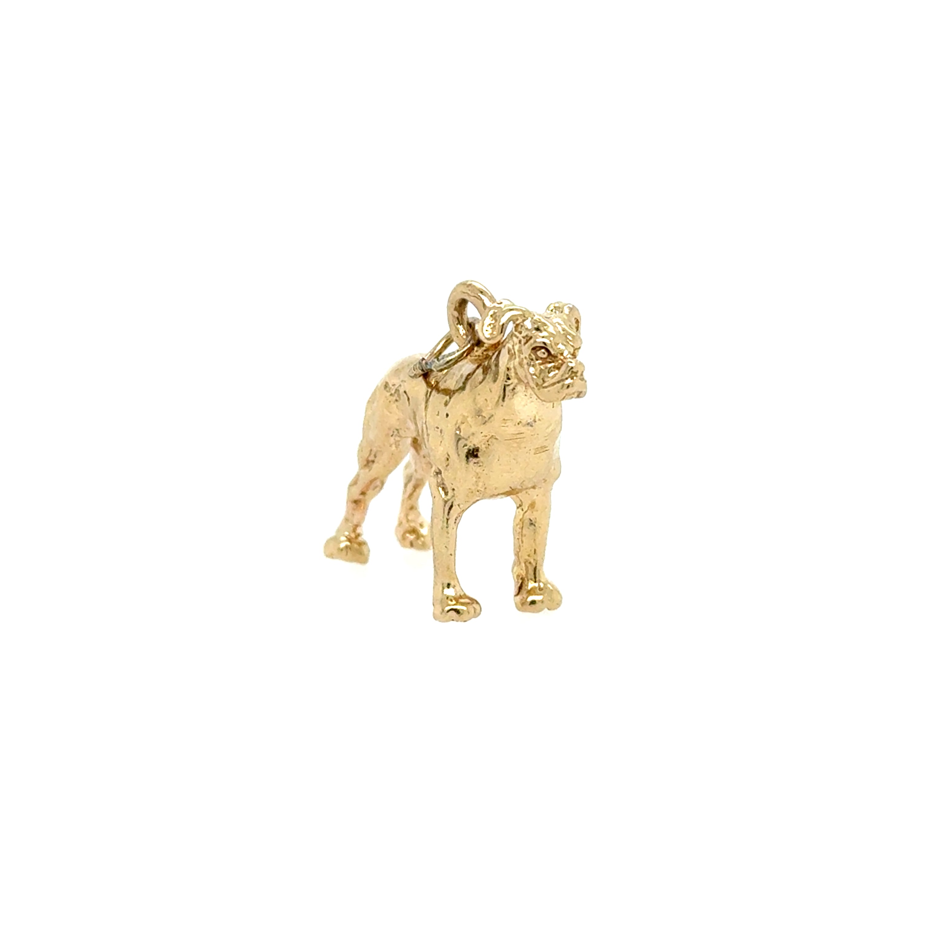 Mastiff Dog