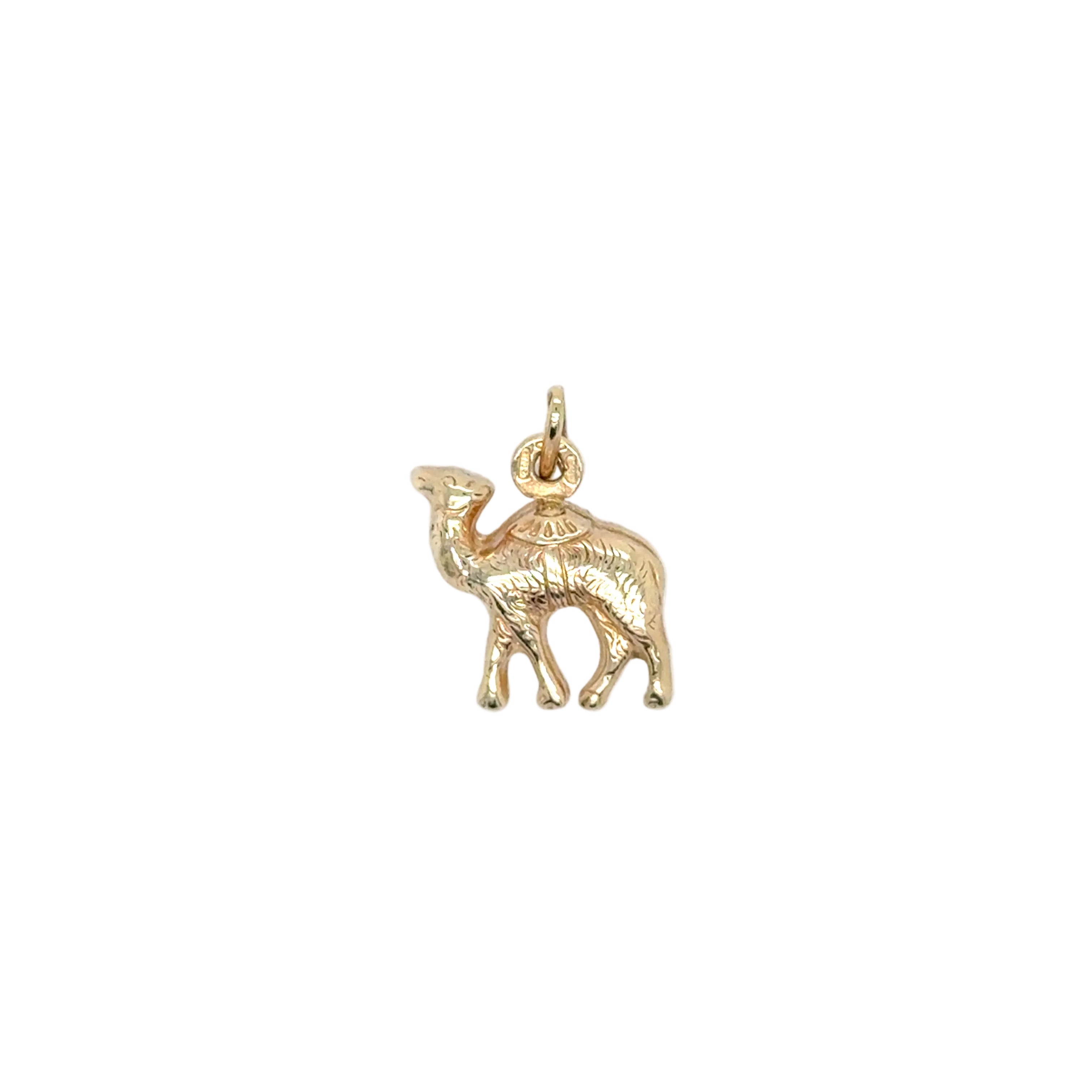 Camel