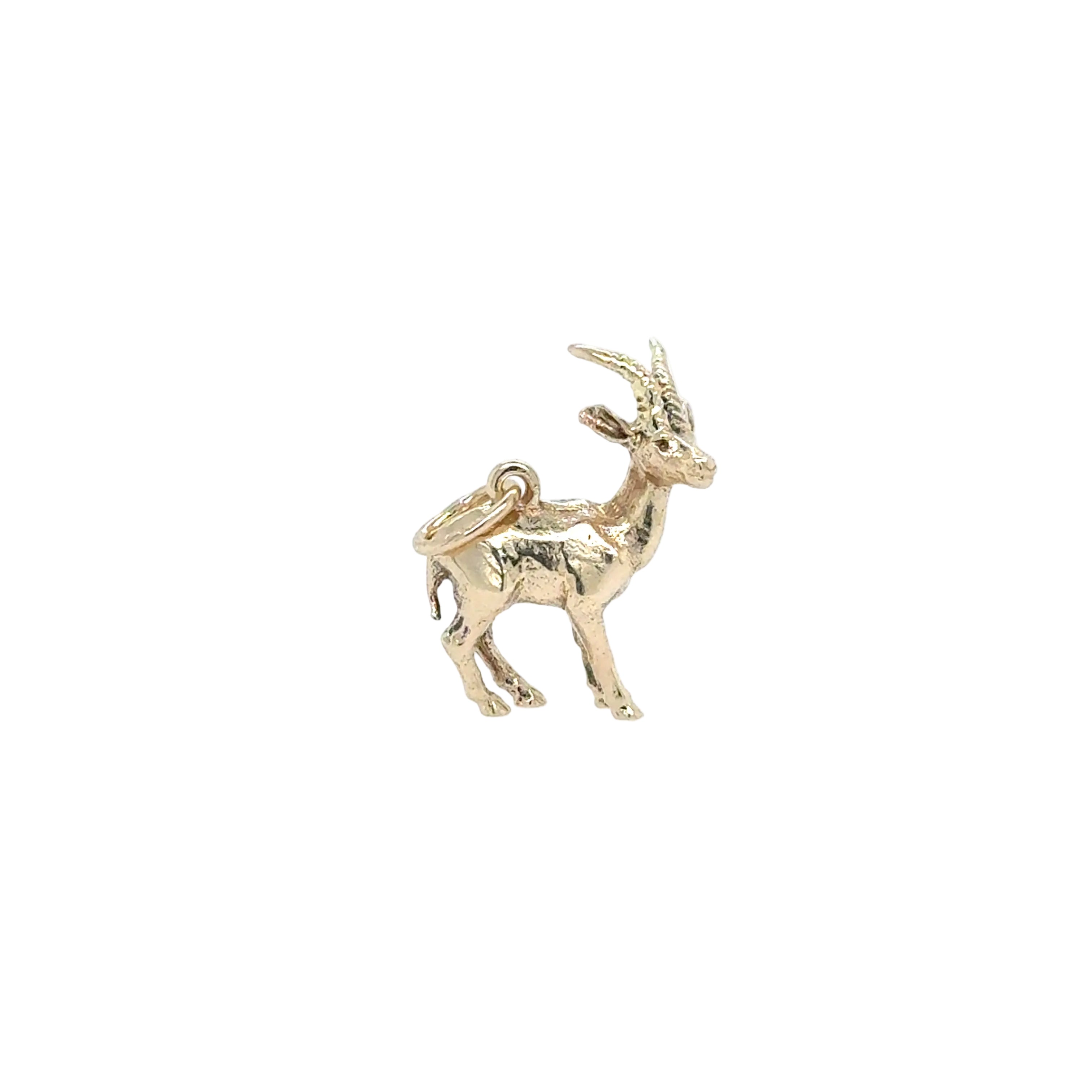 Gazelle